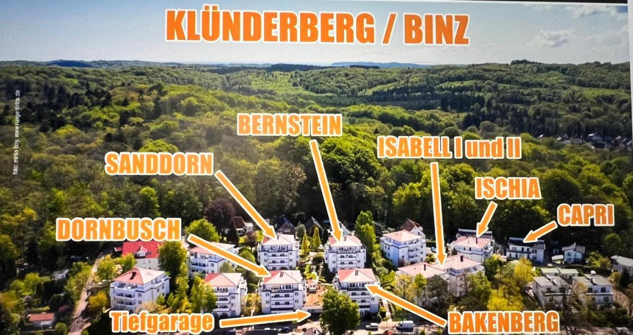 Sanddorn Apartment